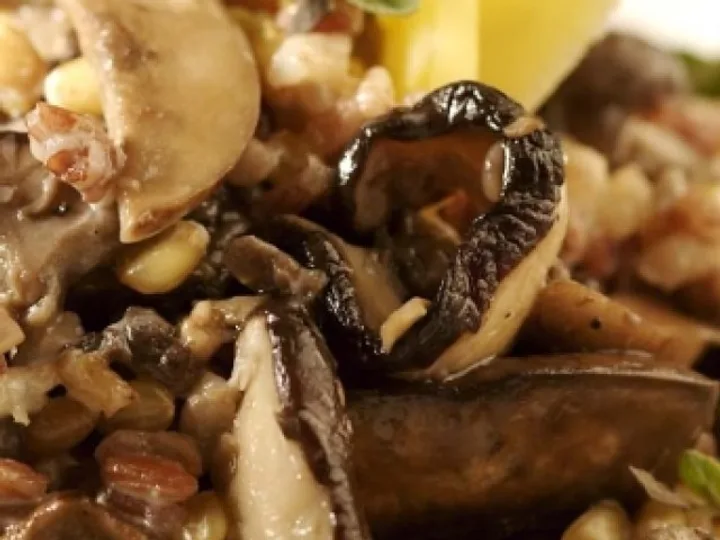 Risoto de Grãos com Cogumelos Frescos